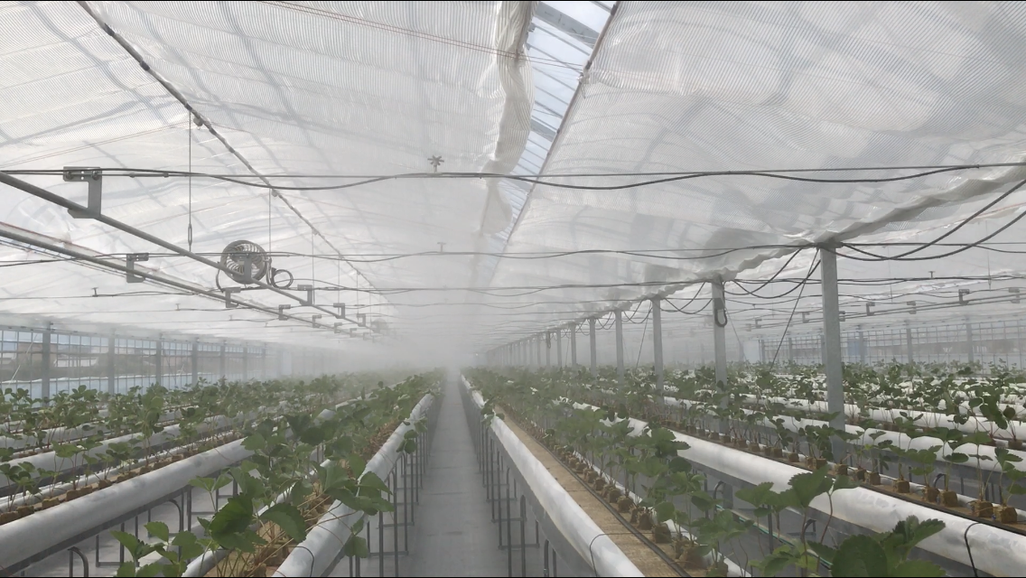 飽差制御ドライミスト